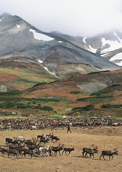 Kamchatka Peninsula