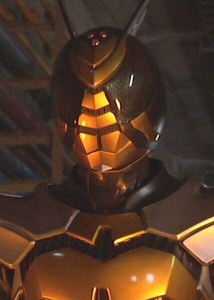 Kamen Rider TheBee