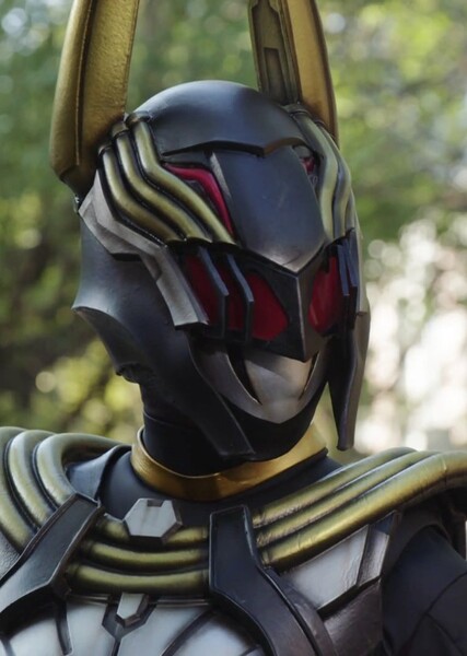 Kamen Rider Valkyrie