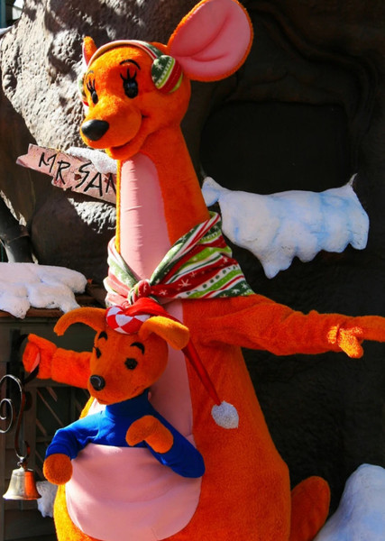 Kanga photo