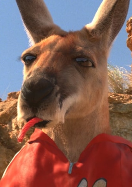 Kangaroo "Jackie Legs" Jack photo