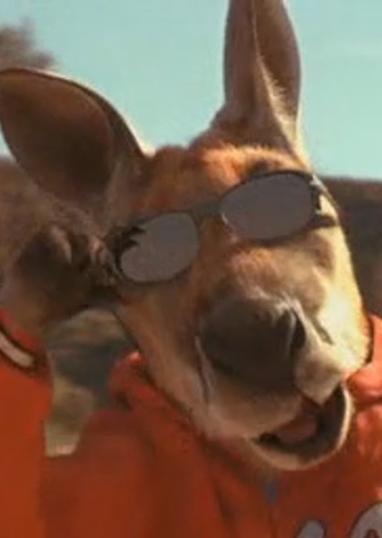 Kangaroo "Jackie Legs" Jack photo