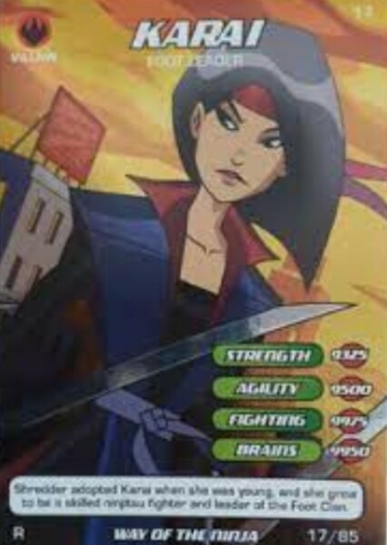 Karai (TMNT 2003) photo