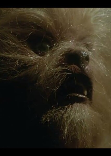 Karen White (The Howling)