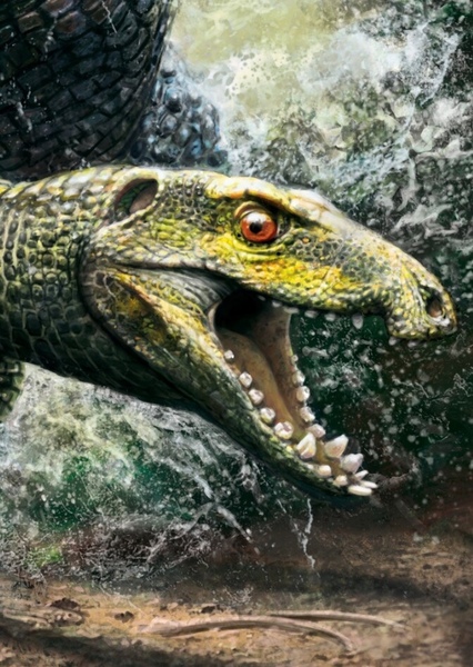 Kayentasuchus