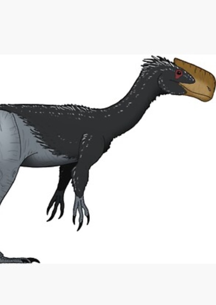 Kayentavenator
