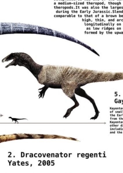 Kayentavenator photo