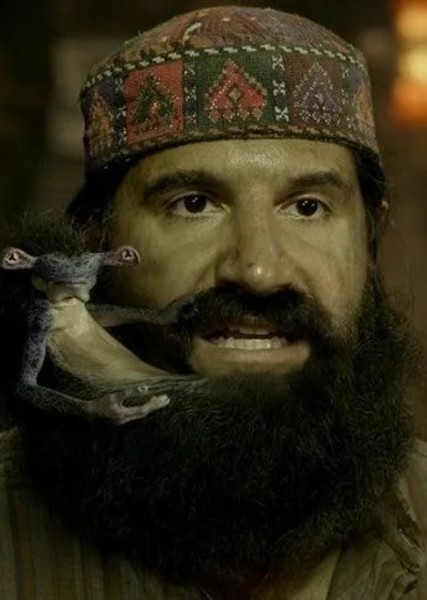 Kayvan Novak photo