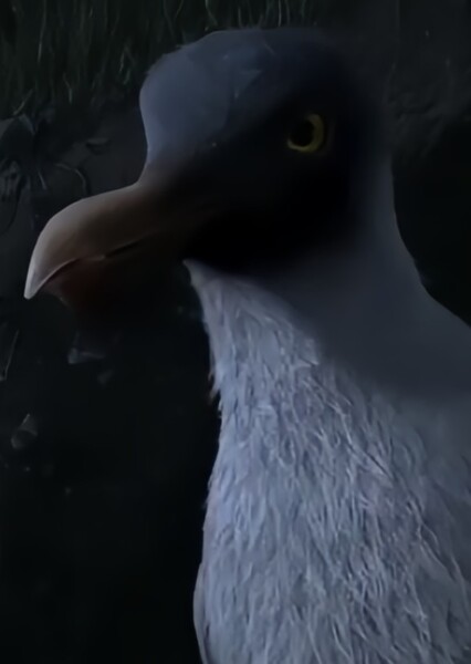 Kehaar (2018)