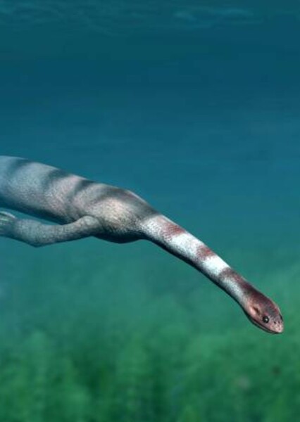 Keichousaurus