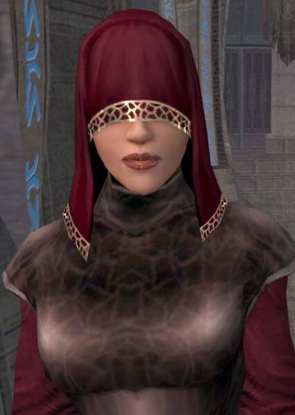 Kelly Hu photo
