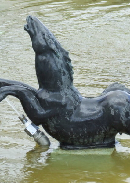 Kelpie