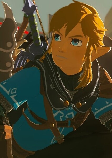 Link