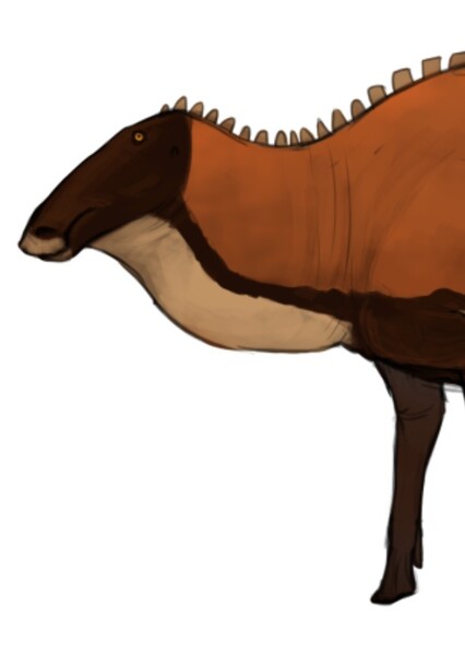 Kerberosaurus photo