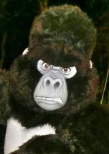 Kerchak photo