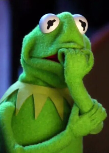 Kermit the Frog photo