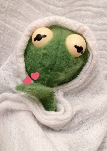 Kermit the Frog photo
