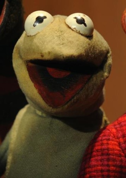 Kermit the Frog photo