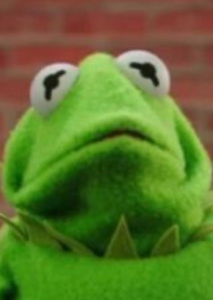 Kermit the Frog photo