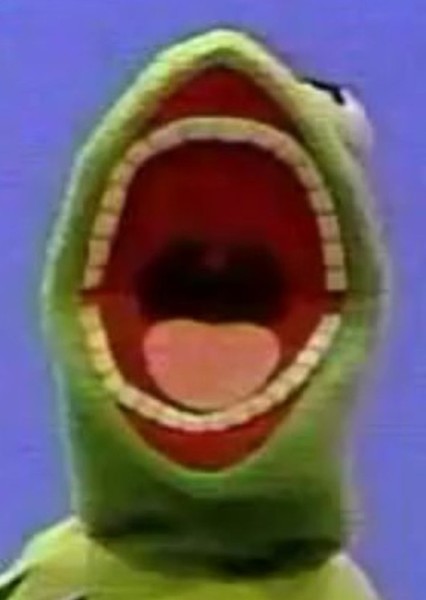 Kermit the Frog photo