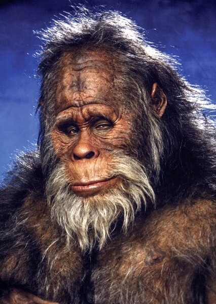 Kevin Peter Hall