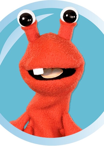 Kevin The Baby Hermit Crab