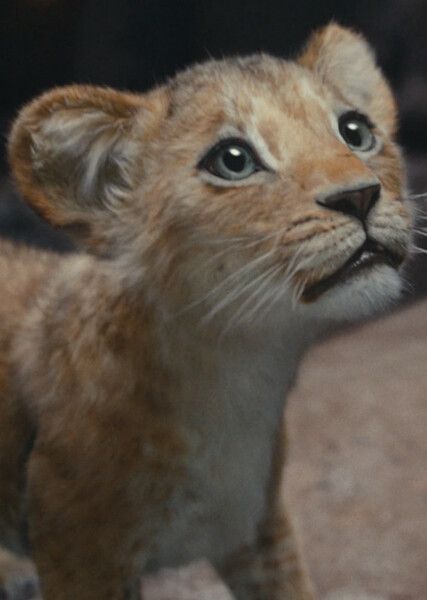 Kiara photo