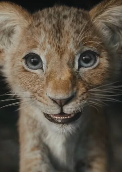 Kiara (The Lion King II) photo