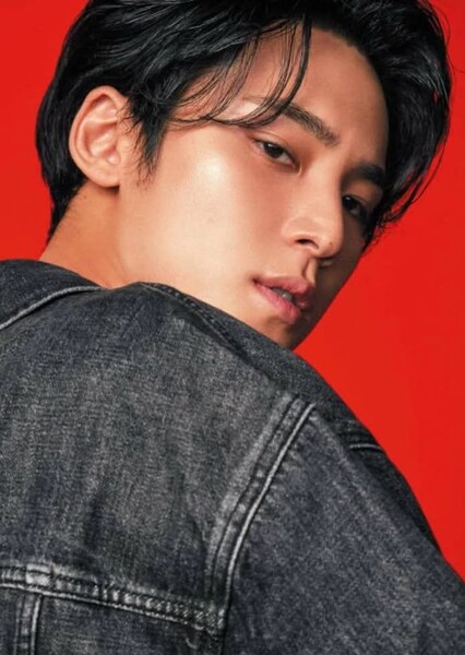 Mingyu photo