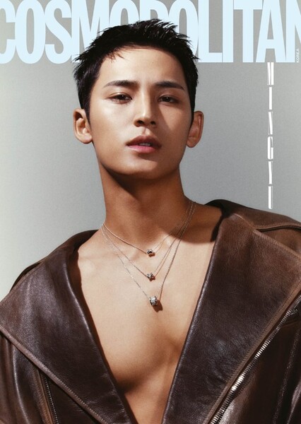 Mingyu photo