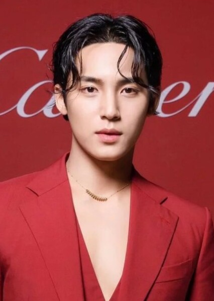 Mingyu photo