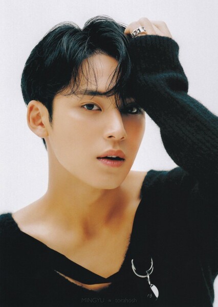 Mingyu photo