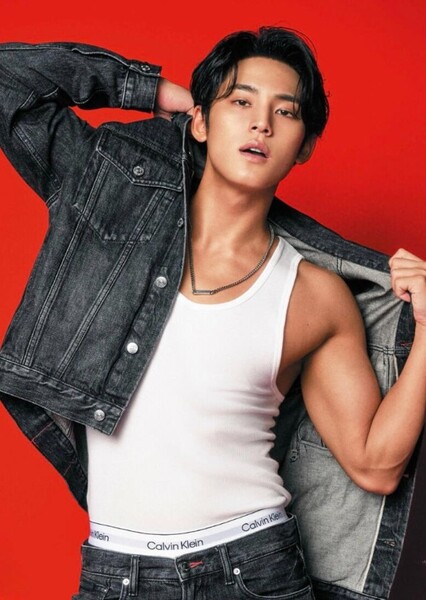 Mingyu photo