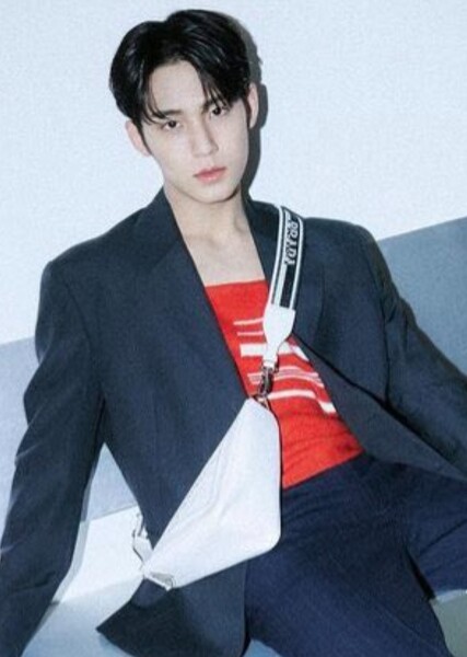 Mingyu photo