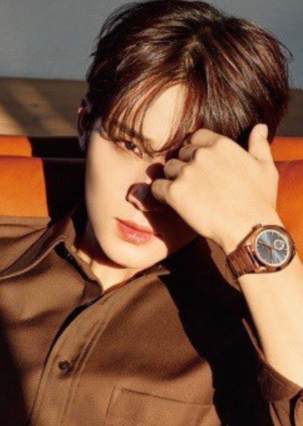 Mingyu photo
