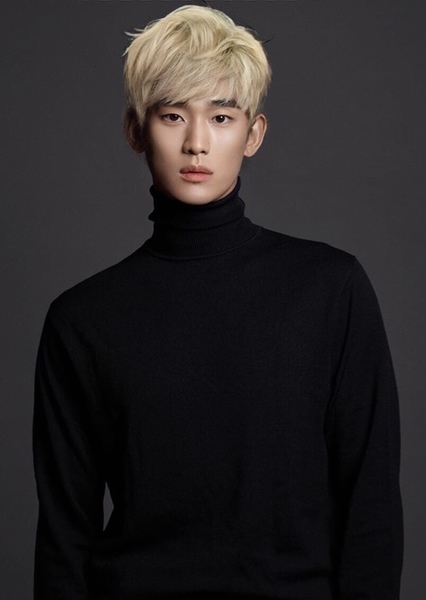 Kim Soo-hyun photo