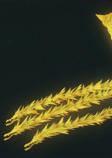 King Ghidorah (Kingu Gidora) photo