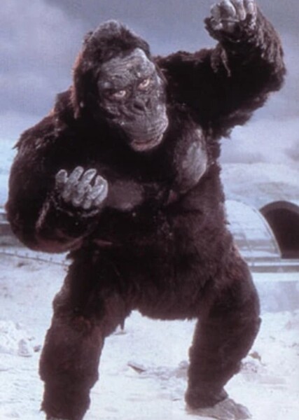 King Kong photo