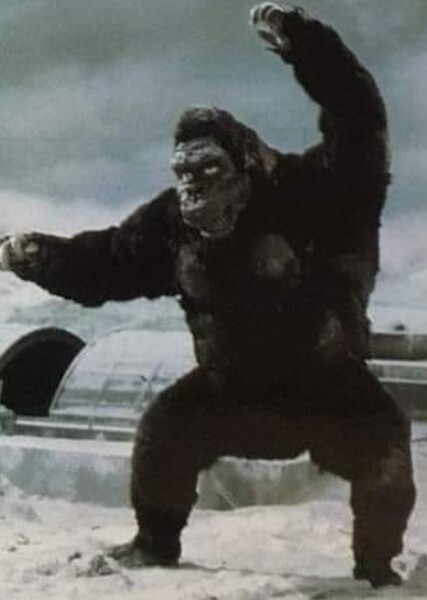 King Kong photo