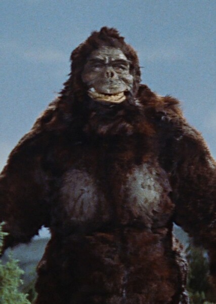 King Kong photo