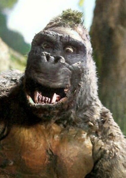 King Kong photo