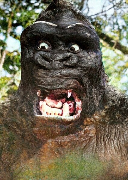 King Kong photo