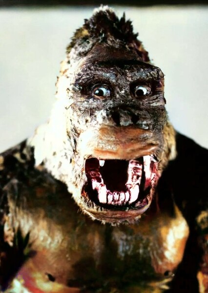 King Kong photo