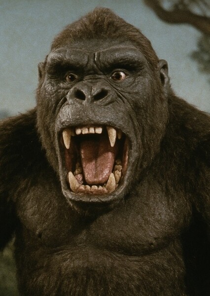 King Kong photo