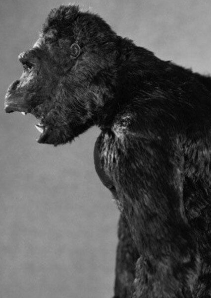 King Kong (1933) photo