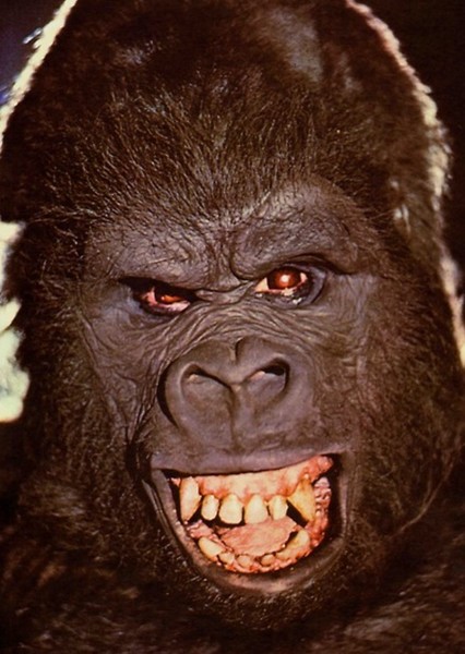 King Kong (De Laurentiis) photo