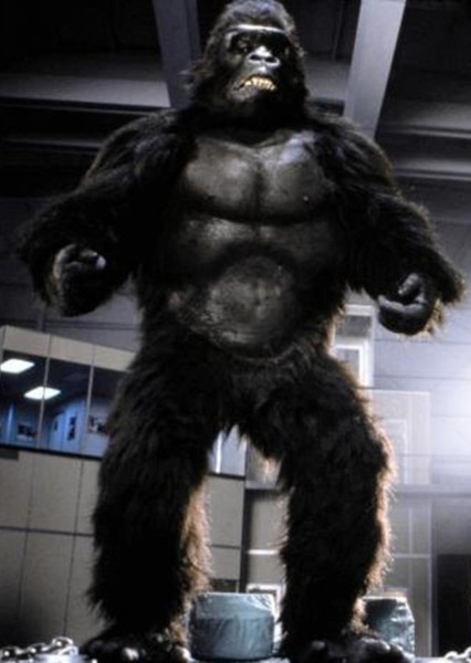 King Kong (De Laurentiis) photo