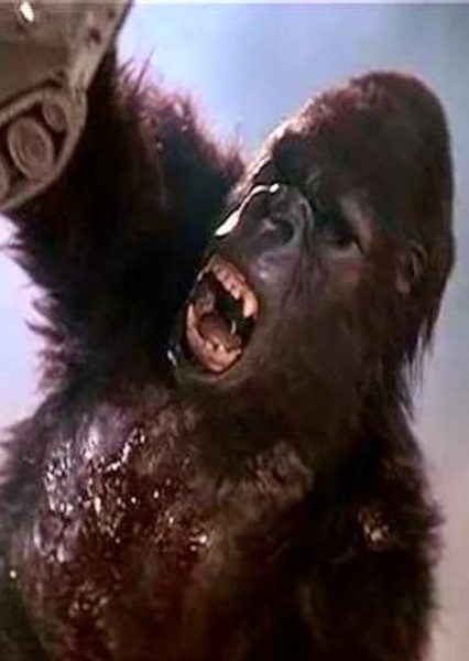 King Kong (De Laurentiis) photo
