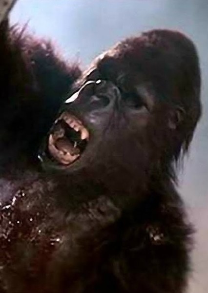 King Kong (De Laurentiis) photo