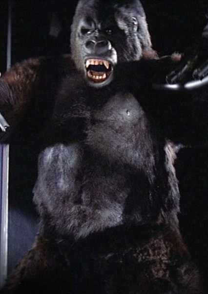 King Kong (De Laurentiis) photo